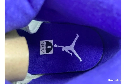 Retro Dark 5 Concord Jordan 0802